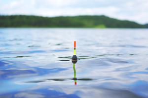 A serene fishing experience awaits fishing wallpaper
