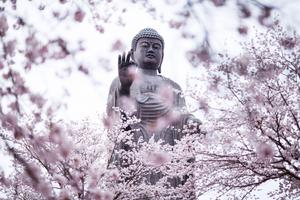 A snowy winter day in front of a serene Buddha statue. buddha wallpaper