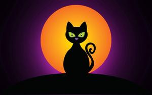 A spooky black cat and a mysterious Halloween moon halloween wallpaper