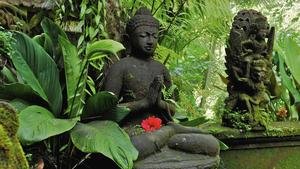 a statue of a buddha in a jungle buddha wallpaper