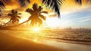 A stunning sunset over the beach beach wallpaper