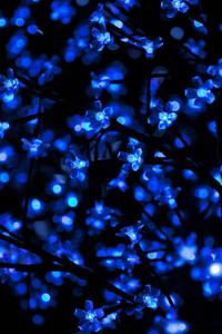A stunning view of glowing sakura against a beautiful blue aesthetic. blue aesthetic wallpaper