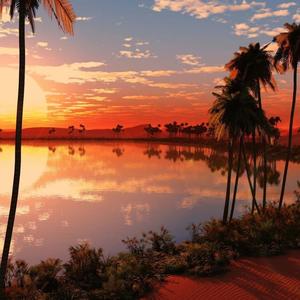 a sunset scene with palm trees and a lake aesthetic ipad wallpaper