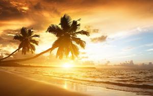 A sunset to remember on the beautiful golden beach beach wallpaper