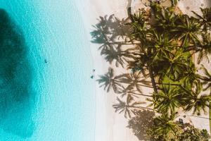 A surreal experience of a vibrant beach paradise beach wallpaper