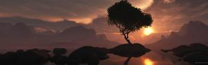 A Tree Silhouette Against a Majestic Sunset dual monitor wallpaper