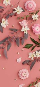 A Vibrant and Stylishly Pink Aesthetic pink cool aesthetic wallpaper
