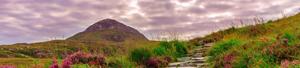 A View of Nature's Serenity 4k nature wallpaper