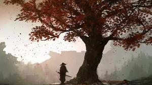 A warrior in ancient Japan samurai wallpaper