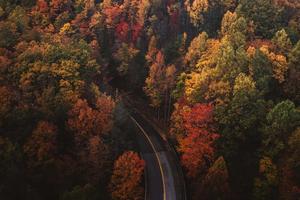 aerial view of a road in the fall fall aesthetic wallpaper