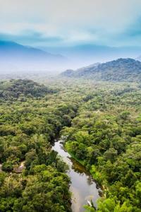 aerial view of the rainforest in colombia forest wallpaper