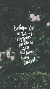 Aesthetic Bible Verse Esther 4:14 aesthetic bible verse wallpaper