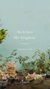 Aesthetic Bible Verse Matthew 6:33 aesthetic bible verse wallpaper