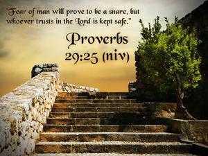 Aesthetic Bible Verse Proverbs 29:25 aesthetic bible verse wallpaper