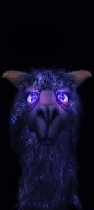 Aesthetic Boy Violet Llama aesthetic boy wallpaper