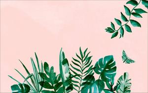 Aesthetic Ipad Foliage aesthetic ipad wallpaper