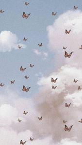 Aesthetic Phone Butterflies aesthetic phone wallpaper
