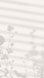 Aesthetic Plant Shadow Pictures aesthetic wallpaper