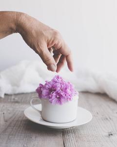 Aesthetic Purple Flower aesthetic wallpaper