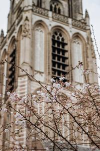Aesthetic Spring spring wallpaper