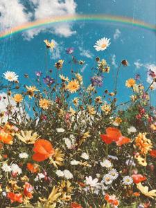 Aesthetic Spring Season Flowers spring wallpaper