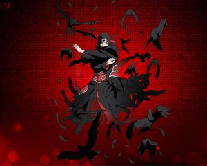 Akatsuki Itachi PFP Crow Clone Technique itachi pfp wallpaper