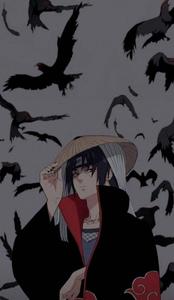 Akatsuki Uchiha Itachi PFP Digital Art With Black Crows itachi pfp wallpaper