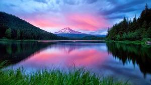 Amazing Nature Reflection Picture nature wallpaper