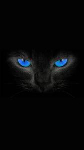 Amoled Blue-Eyed Black Cat amoled wallpaper