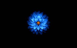 Amoled pictures amoled wallpaper