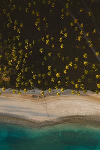 An aerial view of a beautiful beach beach wallpaper