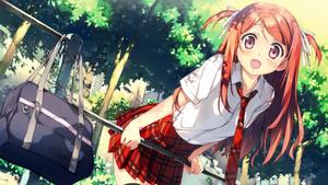 An anime girl in a field of flowers anime girl wallpaper