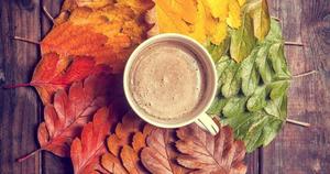 An astonishing Fall landscape of vibrant, copper-toned leaves fall aesthetic wallpaper