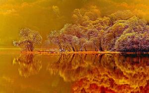 An Autumn Escape to Nature fall wallpaper
