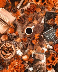 An autumnal bridge capturing the beauty of the colorful fall season. fall aesthetic wallpaper