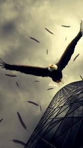 An Eagle Spreads Its Wings Across an IPhone's Screen eagle iphone wallpaper