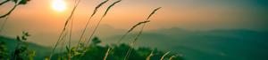 An idyllic sunset in a mountain clearing surrounded by lush coniferous forest. 4k nature wallpaper