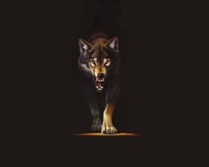 An Intimidating Brown Wolf wolf wallpaper