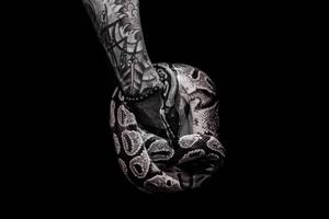 An Intimidating Encounter black screen wallpaper
