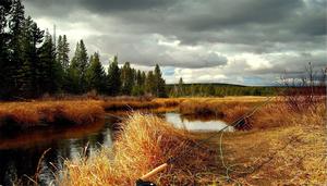 An old-fashioned wooden fishing rod for a peaceful day of fishing near the river fishing wallpaper