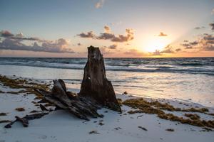 An Unusual Sight at the Beach beach wallpaper