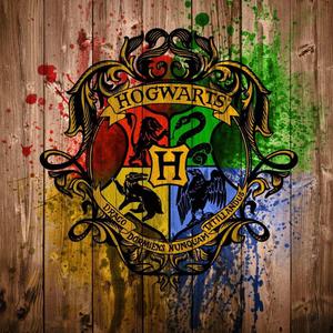 Ancient Magic of Hogwarts hogwarts wallpaper