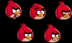 Angry Birds Red Character Expressions Wallpaper