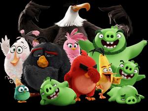 Angry Birdsand Green Pigs Group Wallpaper