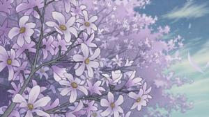 Anime Aesthetic Lavender Flowers anime aesthetic wallpaper