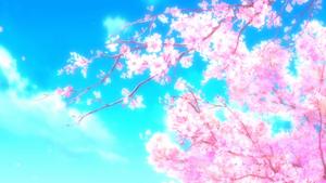 Anime Aesthetic Sakura Flowers anime aesthetic wallpaper