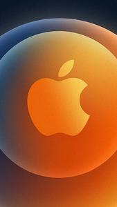 Apple Blossoming with Renewal Wallpaper