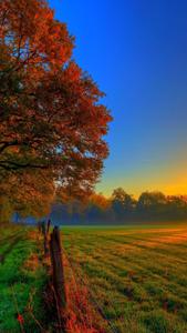Autumn Nature 4K iPhone 4k nature iphone wallpaper