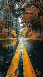 Autumn Road Beautiful Phone beautiful phone wallpaper
