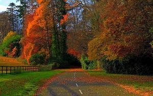 Autumn Streets Full Screen Hd Desktop full screen hd desktop wallpaper